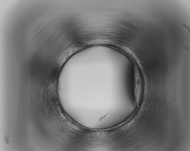 X0000100210937200806201442