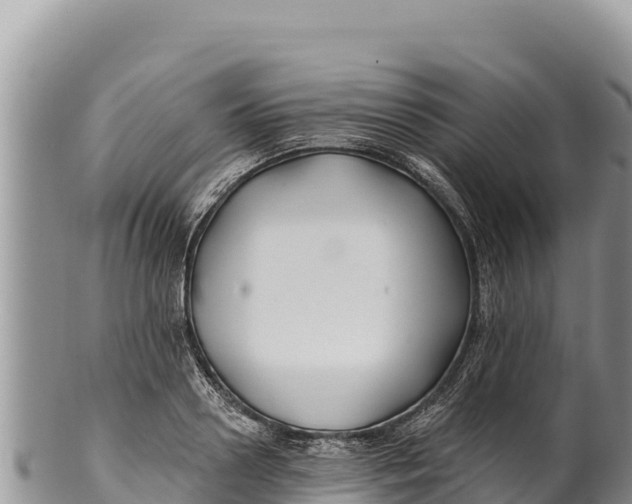 X0000100210938200806201442