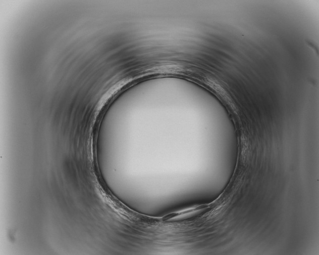 X0000100210939200806201442