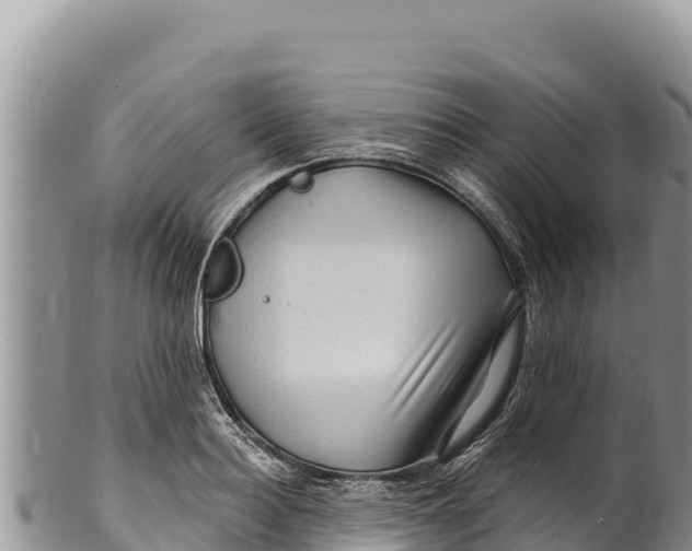 X0000100210940200806201442