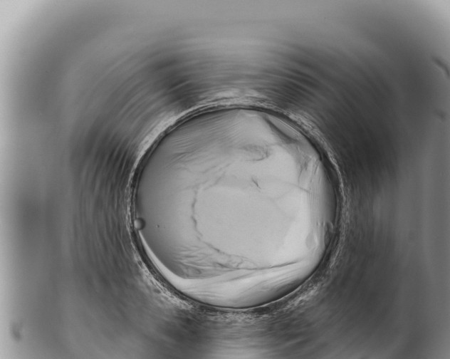 X0000100210941200806201442