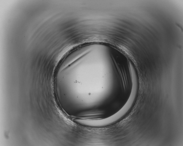 X0000100210942200806201442