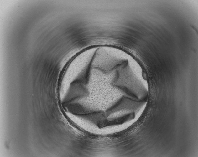 X0000100210943200806201442