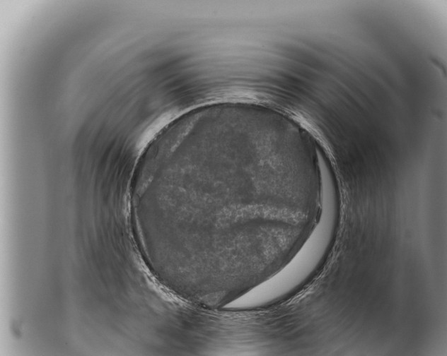 X0000100210944200806201442