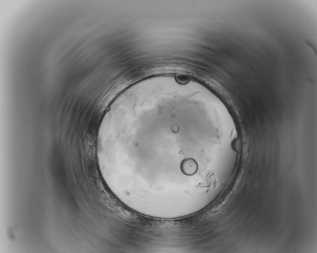 X0000100210945200806201442