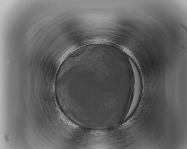 X0000100210946200806201442