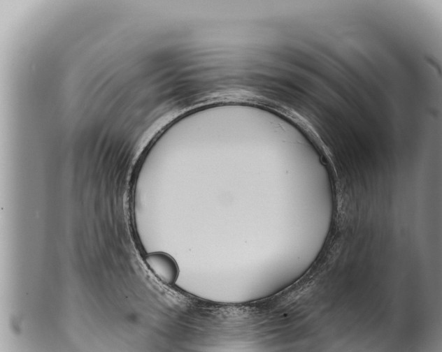 X0000100210947200806201442