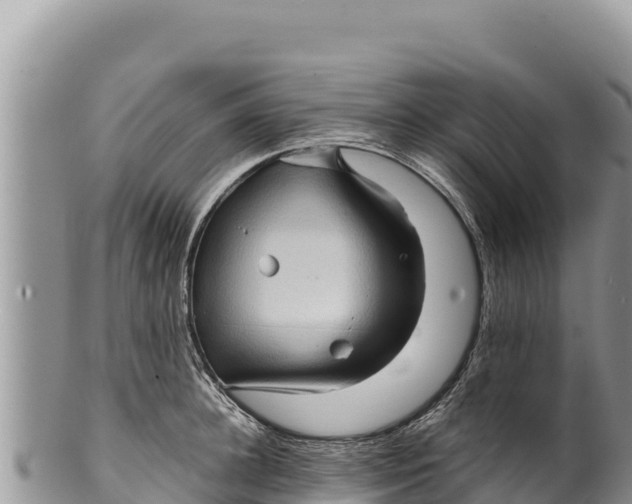 X0000100210948200806201442