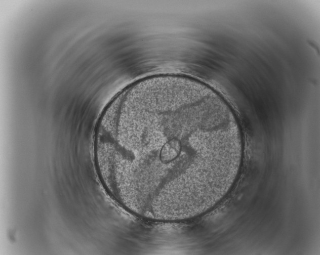 X0000100210950200806201442