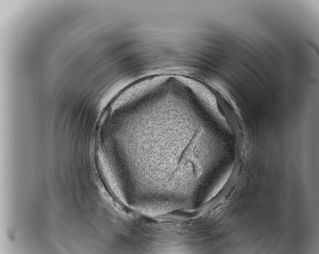 X0000100210952200806201442