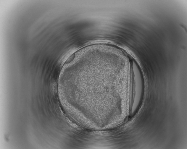 X0000100210953200806201442