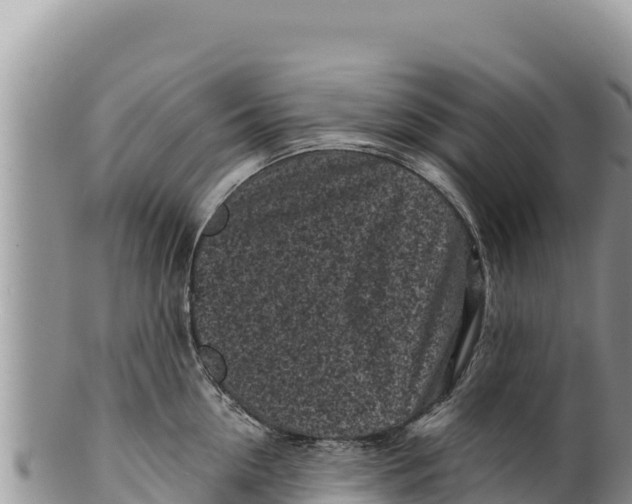 X0000100210954200806201442