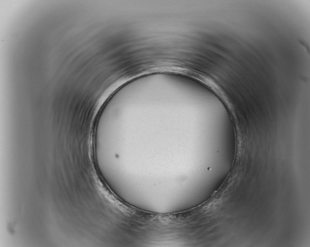 X0000100210955200806201442