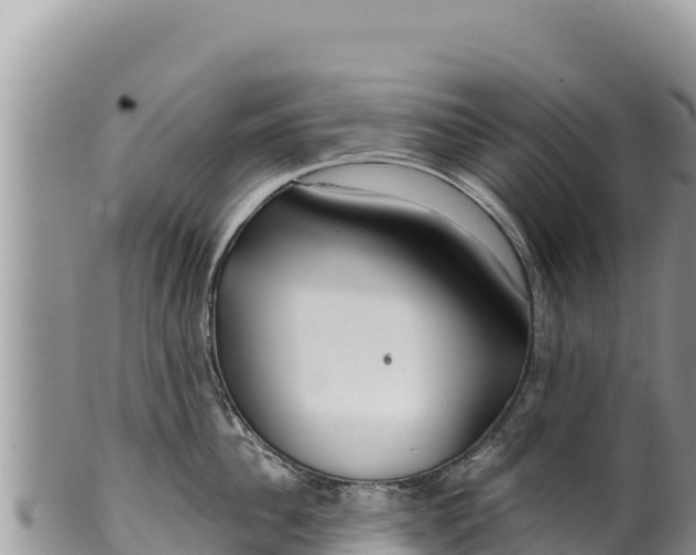 X0000100210956200806201442