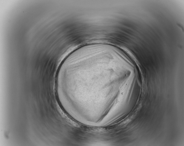 X0000100210957200806201442