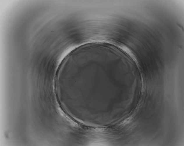 X0000100210958200806201442