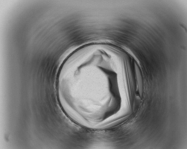 X0000100210959200806201442