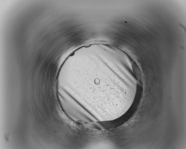 X0000100210960200806201442