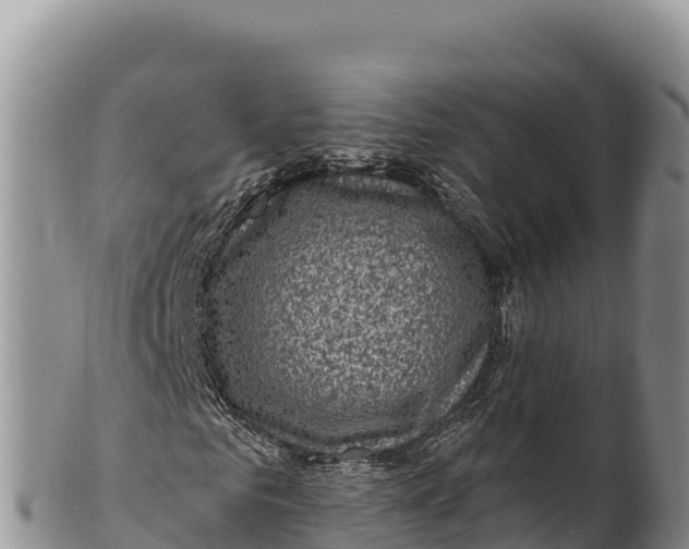 X0000100210961200806201441