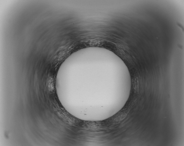 X0000100210962200806201441