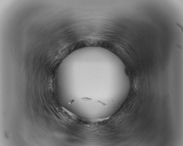 X0000100210964200806201441