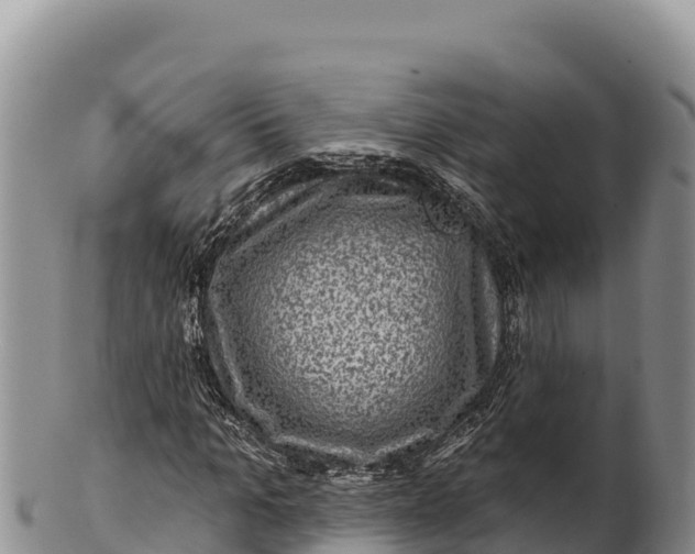 X0000100210965200806201441