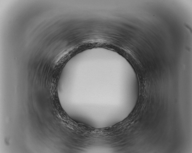 X0000100210967200806201441