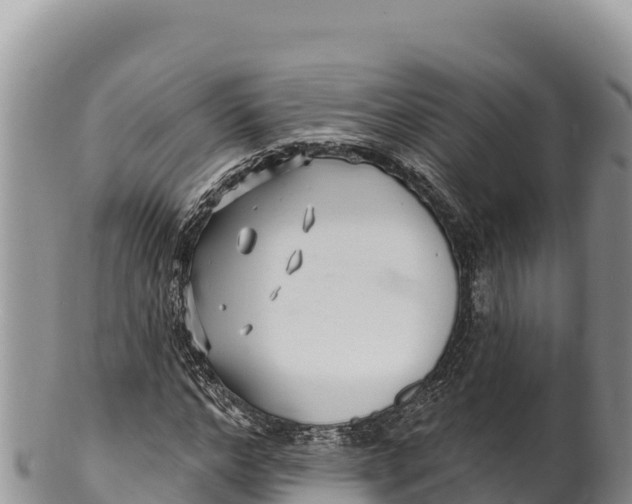 X0000100210968200806201441