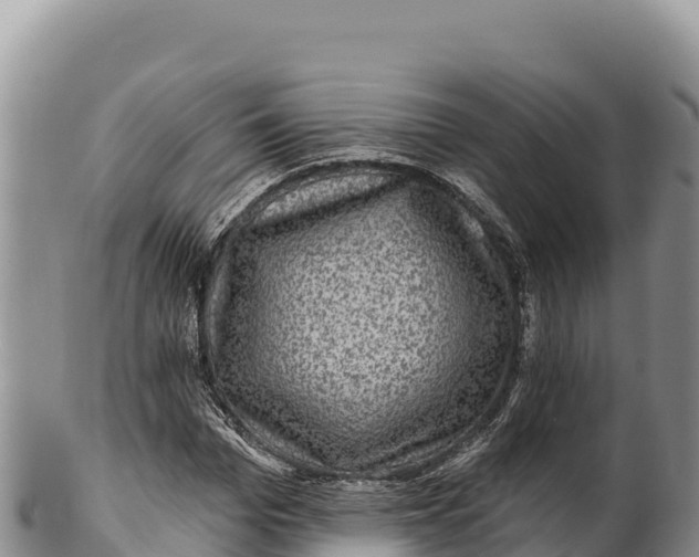 X0000100210969200806201441