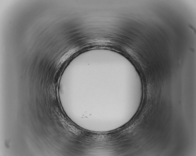 X0000100210970200806201441