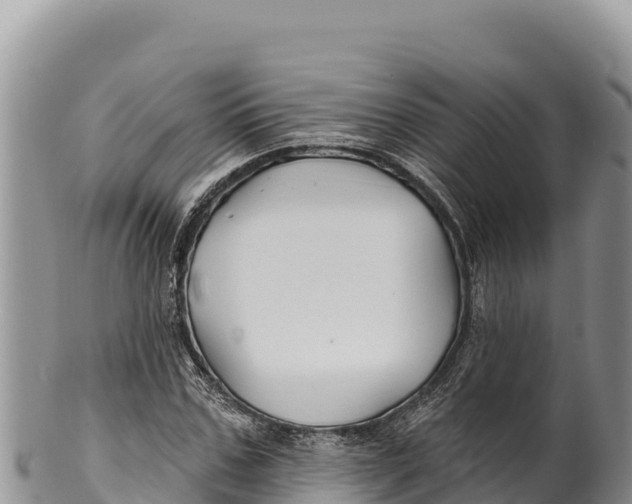 X0000100210971200806201441