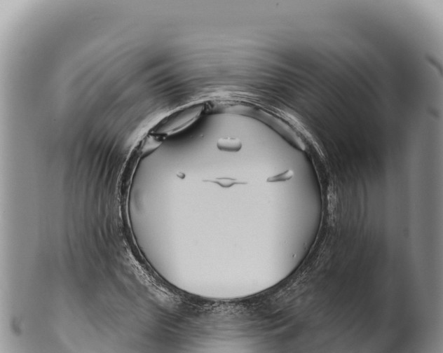 X0000100210972200806201441