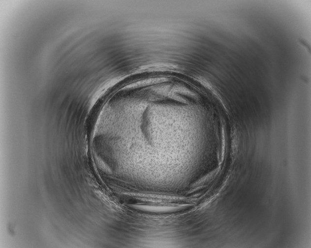 X0000100210973200806201441