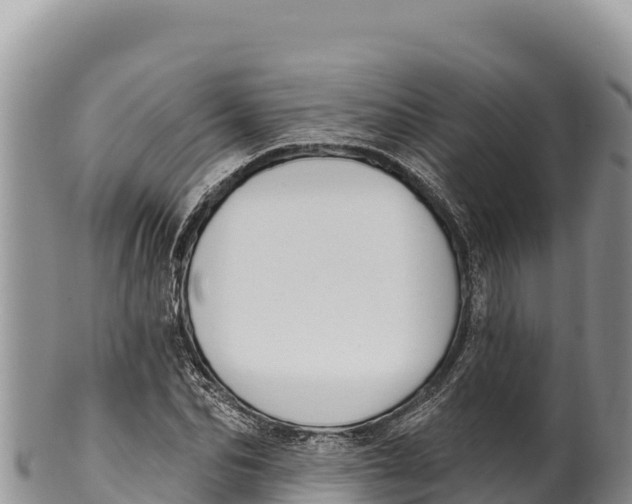 X0000100210974200806201441