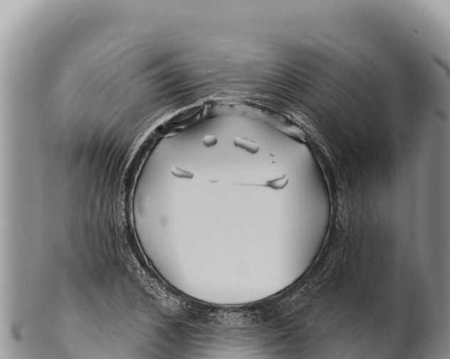 X0000100210976200806201441