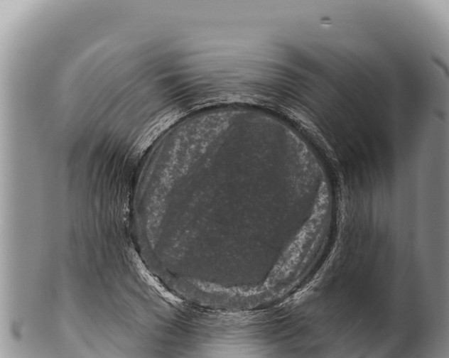 X0000100210977200806201441