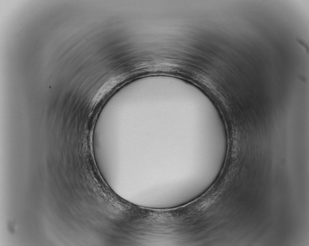 X0000100210978200806201441