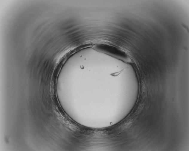 X0000100210979200806201441