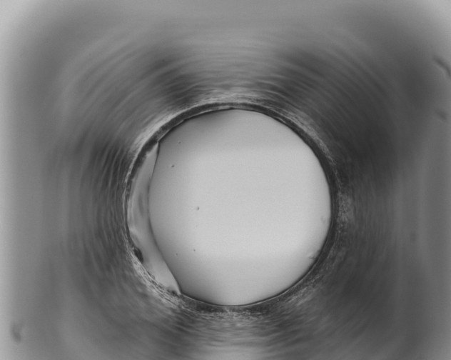 X0000100210980200806201441