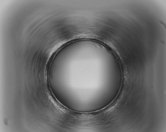 X0000100210981200806201441