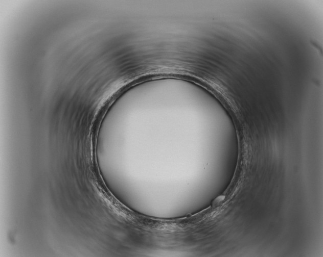 X0000100210982200806201441