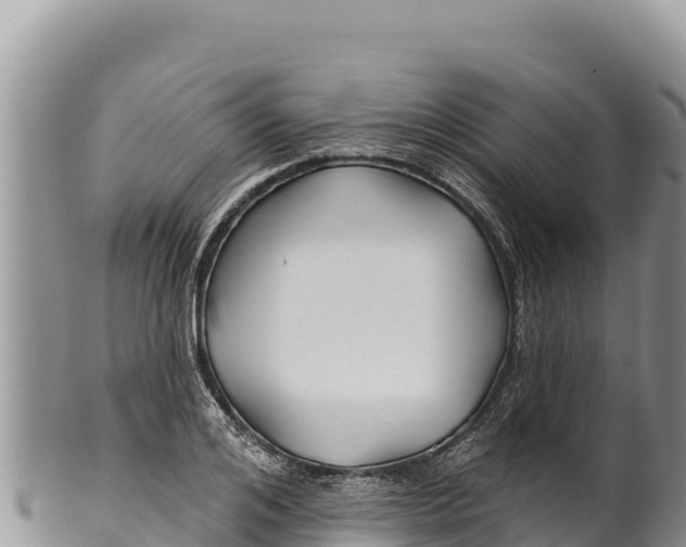 X0000100210984200806201441