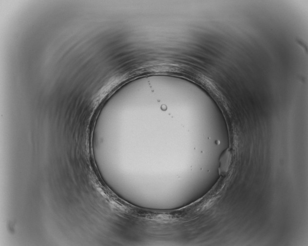 X0000100210986200806201441