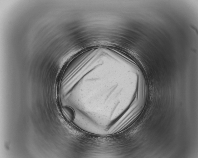 X0000100210987200806201441