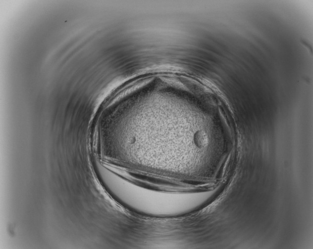 X0000100210989200806201441