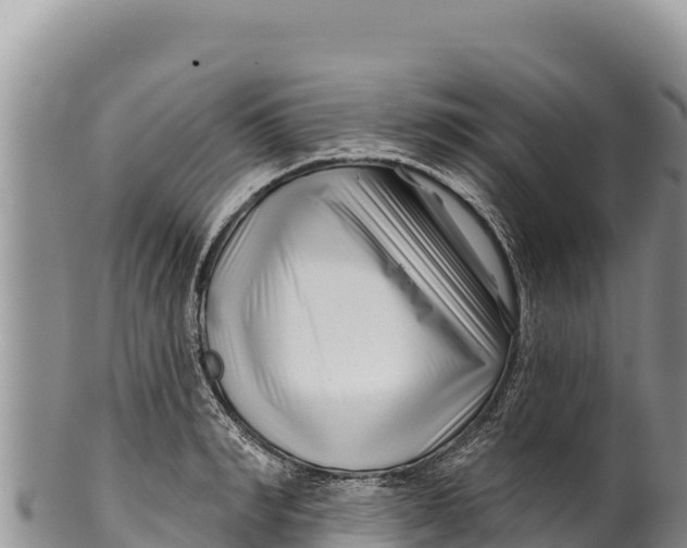 X0000100210990200806201441