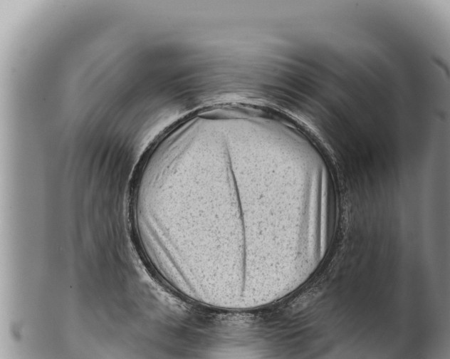 X0000100210991200806201441