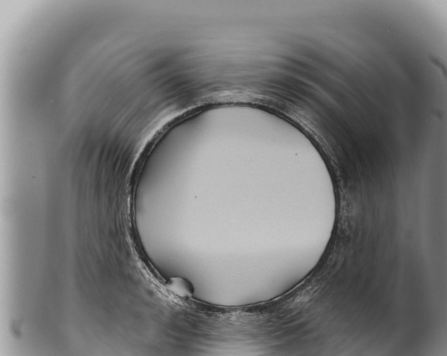 X0000100210992200806201441