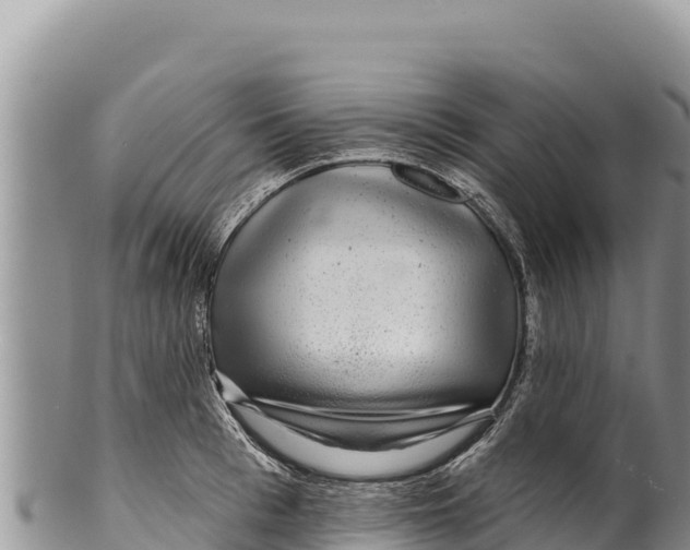 X0000100210993200806201441