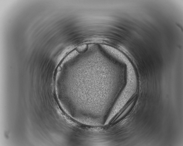 X0000100210994200806201441